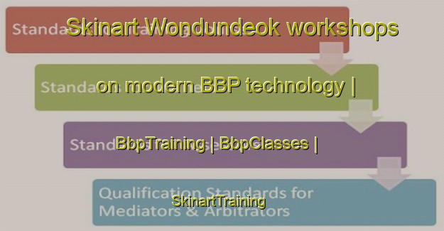 Skinart Wondundeok workshops on modern BBP technology | BbpTraining | BbpClasses | SkinartTraining-Republic of Korea
